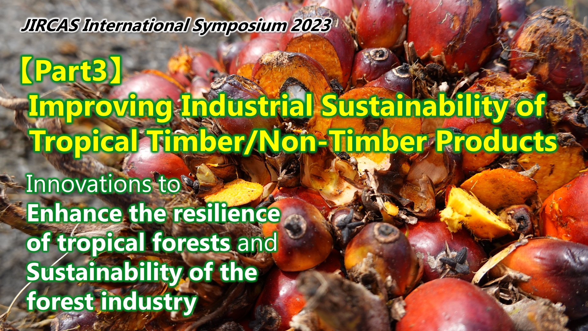 【Part3：熱帯木材／非木材製品の産業的持続可能性の向上】JIRCAS国際シンポジウム2023「強靭な熱帯林と持続的な産業の共存を実現するイノベーションに向けて」