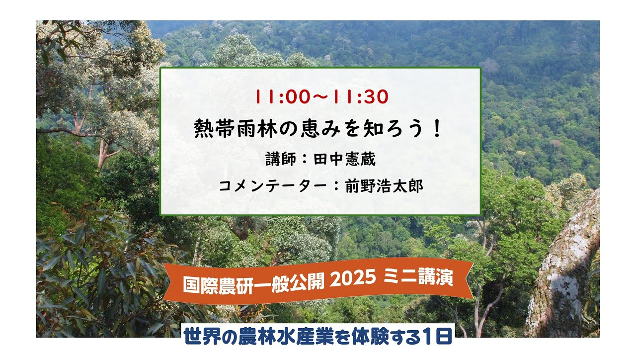 熱帯雨林の恵みを知ろう