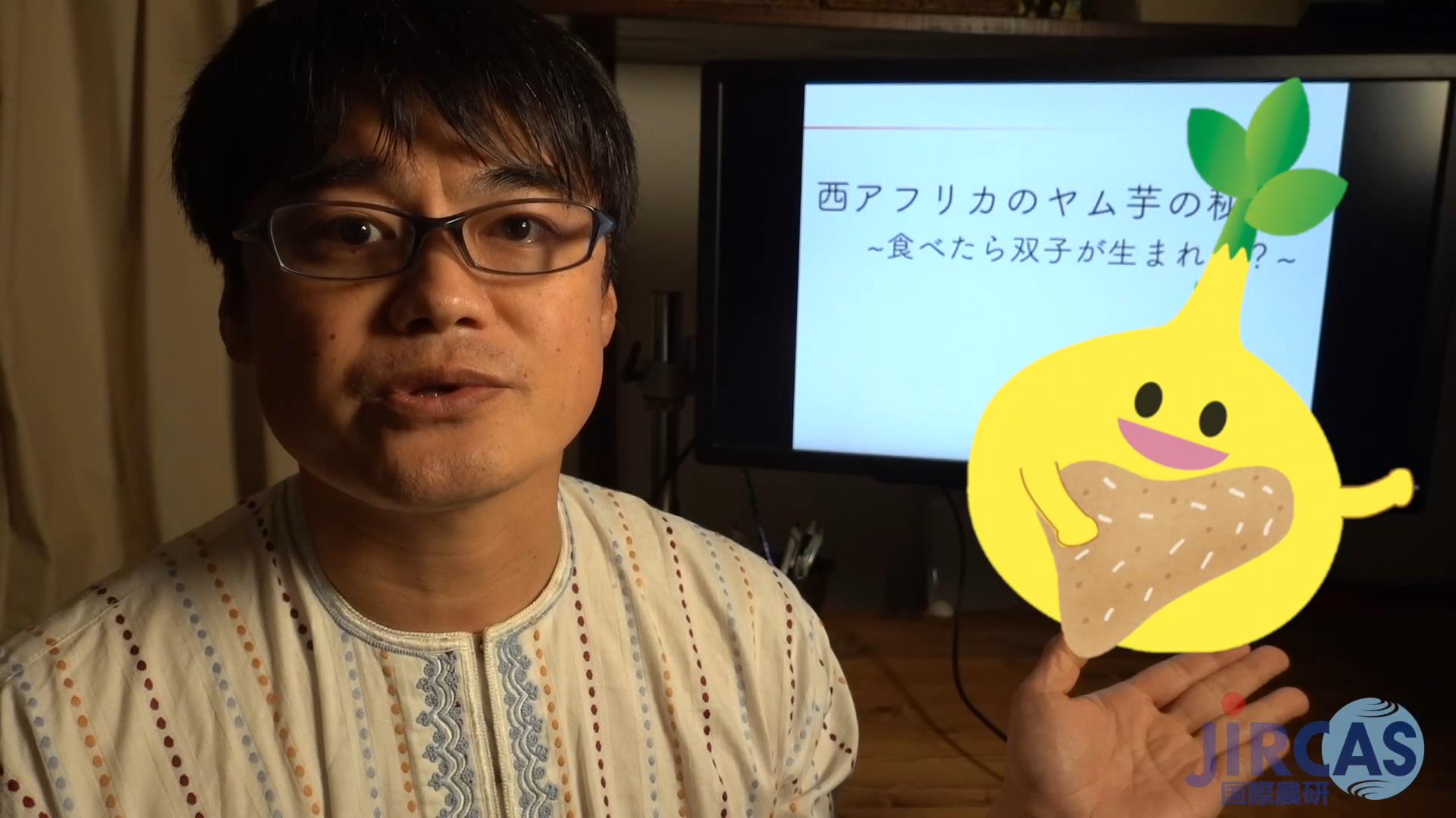 食べたら双子が生まれる？　西アフリカのヤムイモの秘密
