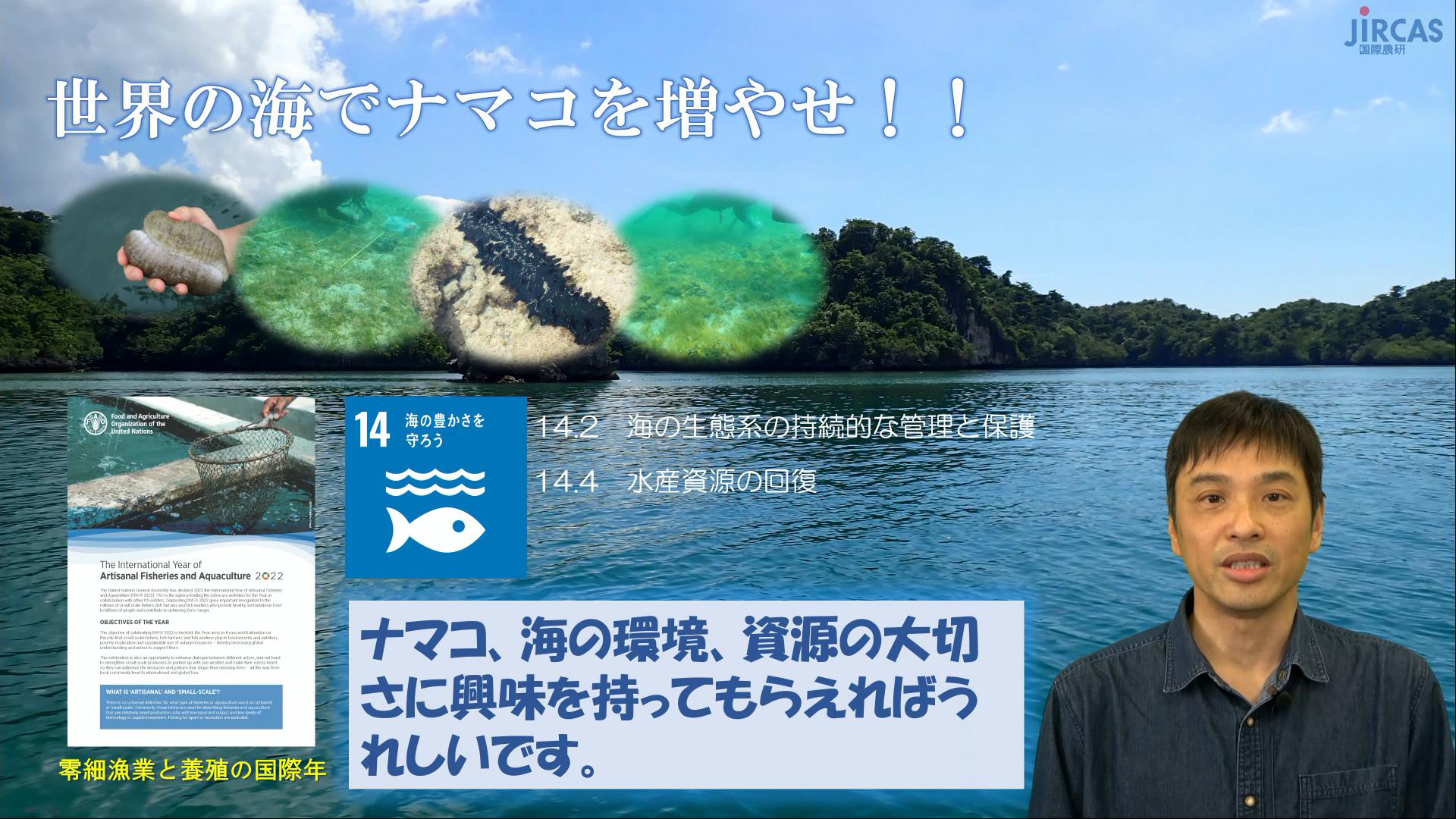 世界の海でナマコを増やせ！！