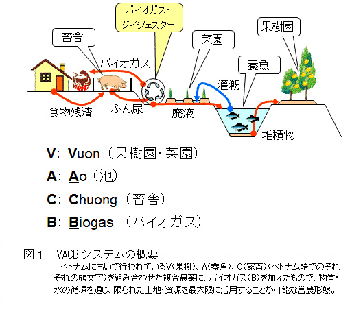 図1