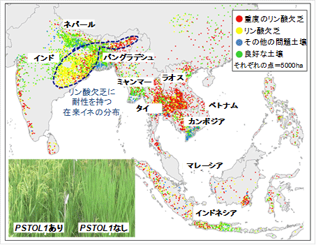 図1 アジアにおける問題土壌の分布