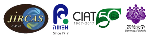 国立研究開発法人 国際農林水産業研究センター,国立研究開発法人理化学研究所,国際熱帯農業センター（コロンビア）,国立大学法人筑波大学