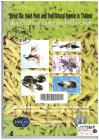 Stored Rice Insect Pests and Their Natural Enemies in Thailand 