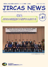 JIRCASニュース81号表紙