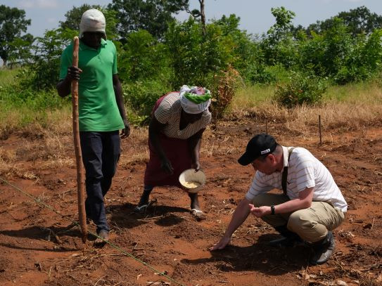 アフリカ小規模畑作システムの安定化に資する生産性・収益性・持続性を改善する土壌・栽培管理技術の開発【アフリカ畑作システム】