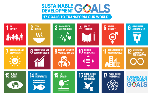 Sustainable Development Goals: SDGs