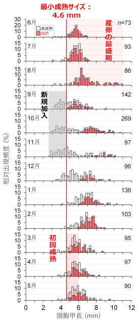 小型テナガエビ類の雌における頭胸甲長組成と成熟状況の経月変化