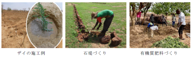 ザイの施工例, 石堤づくり, 有機質肥料づくりの様子を写した現地の写真