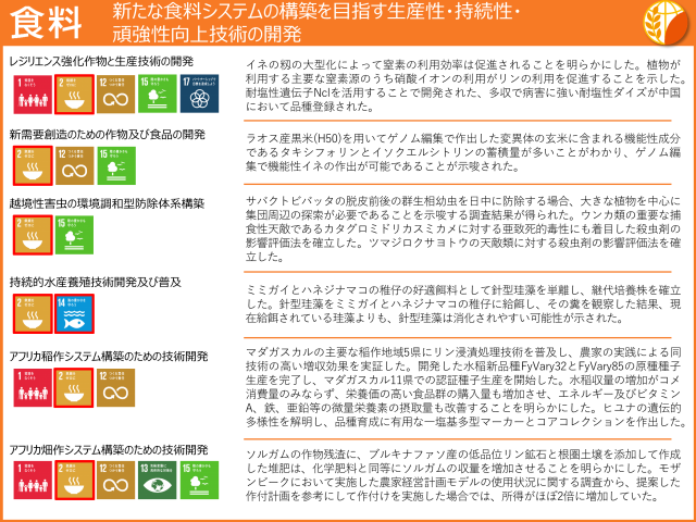 食料：新たな食料システムの構築を目指す生産性・持続性・頑強性向上技術の開発