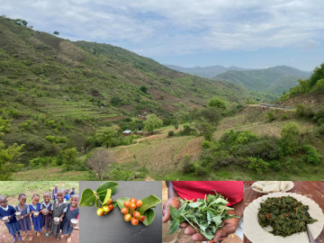 The application of science and traditional knowledge to foster the utilization of foods obtained from local landscapes for improved nutrition and livelihoods