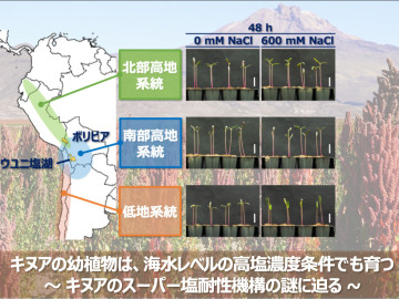 ホーム | 国立研究開発法人 国際農林水産業研究センター | JIRCAS
