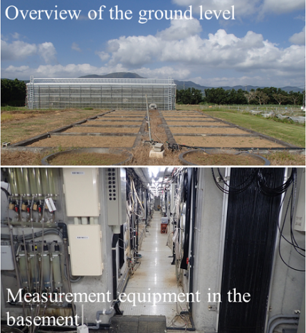 Fig. 1. Drainage lysimeters at JIRCAS-TARF