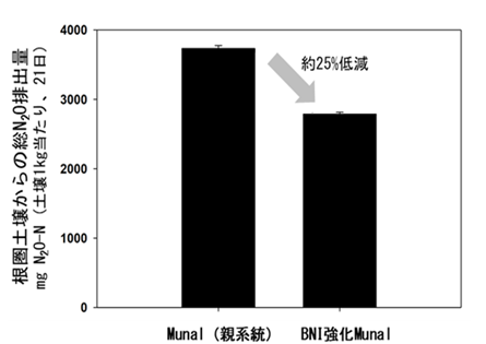 Fig2