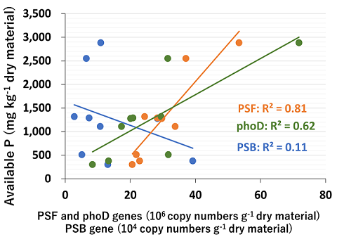 Fig. 3. Relationships between the amount of available phosphorus and microbial gene abundance during composting