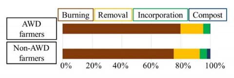 Fig. 3. Rice straw management between AWD farmers and non-AWD farmers