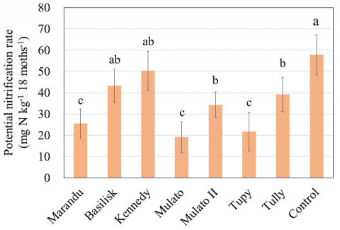 Fig. 2. Cumulative nitrification rate in each treatment