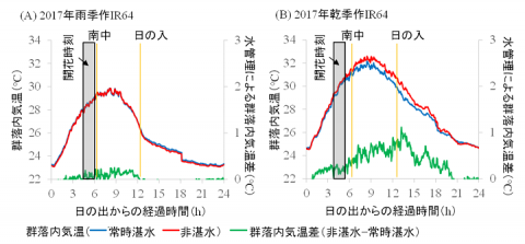 図1 水管理および栽培時期の違いが出穂期間中の群落内気温に及ぼす影響（IR64、2017）