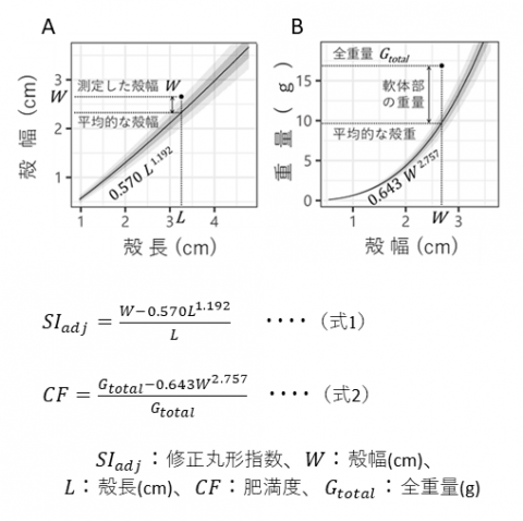 図2 ハイガイの成長の良否に関する改良指標と推定式