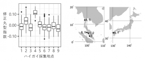 図3 ハイガイの海域別修正丸型指数（A）とハイガイ採集地点（B）