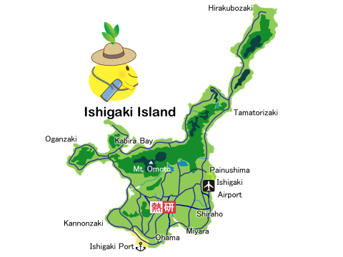 Ishigaki map