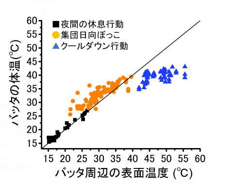 図3.バッタ周辺の表面温度と体温との関係