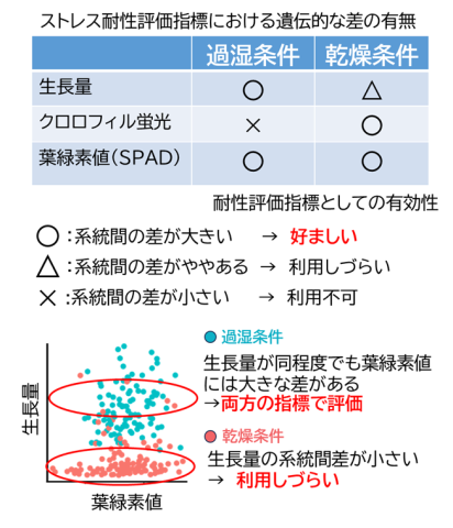  図3 複数の指標による過湿・乾燥ストレス耐性の評価