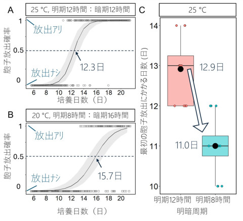 胞子放出における温度と明暗周期の影響