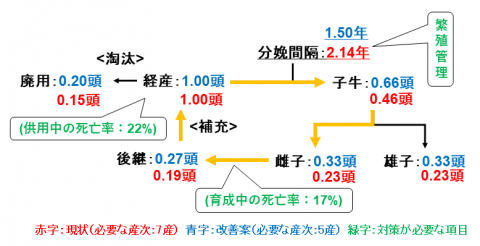 図2 マニサ郡の乳牛飼養農家による牛群維持の条件