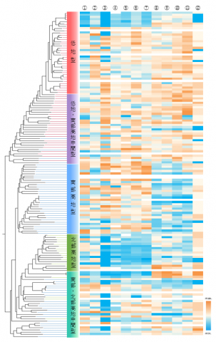 図2 136のキヌア自殖系統の遺伝子型の分類に対応した表現型のヒートマップ