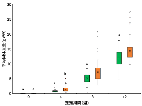 図3　対照区（緑）と実験区（橙）におけるウシエビの体重変化