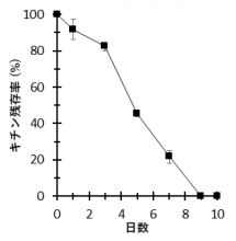 図3 C. thermochitinicola UUS1-1のキチン分解能