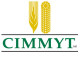 International Maize and Wheat Improvement Center (CIMMYT)