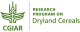 CGAIR Research Program on Dryland Cereals