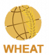 CGIAR Research Program on Wheat