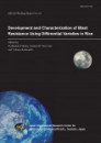 Development and Characterization of Blast Resistance Using Differential Varieties in Rice Development and Characterization of Blast Resistance Using Differential Varieties in Rice