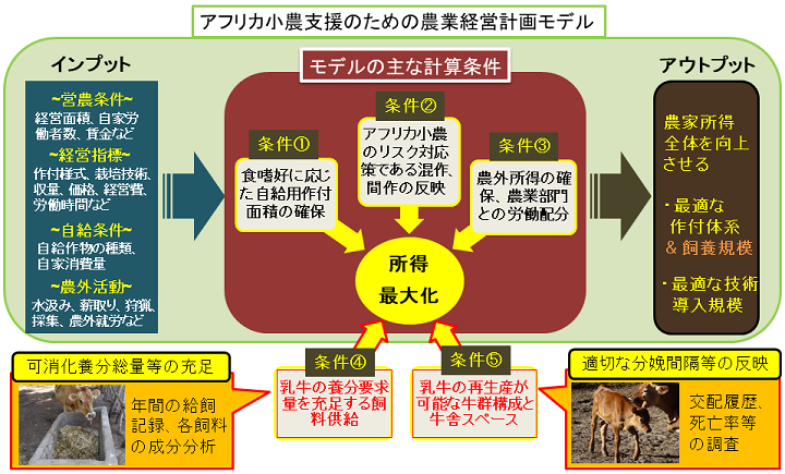 国際農研モザンビークにおける乳牛飼養の存立条件を反映した耕畜複合経営計画モデル