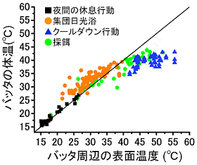 図2 バッタ周辺の表面温度と体温との関係