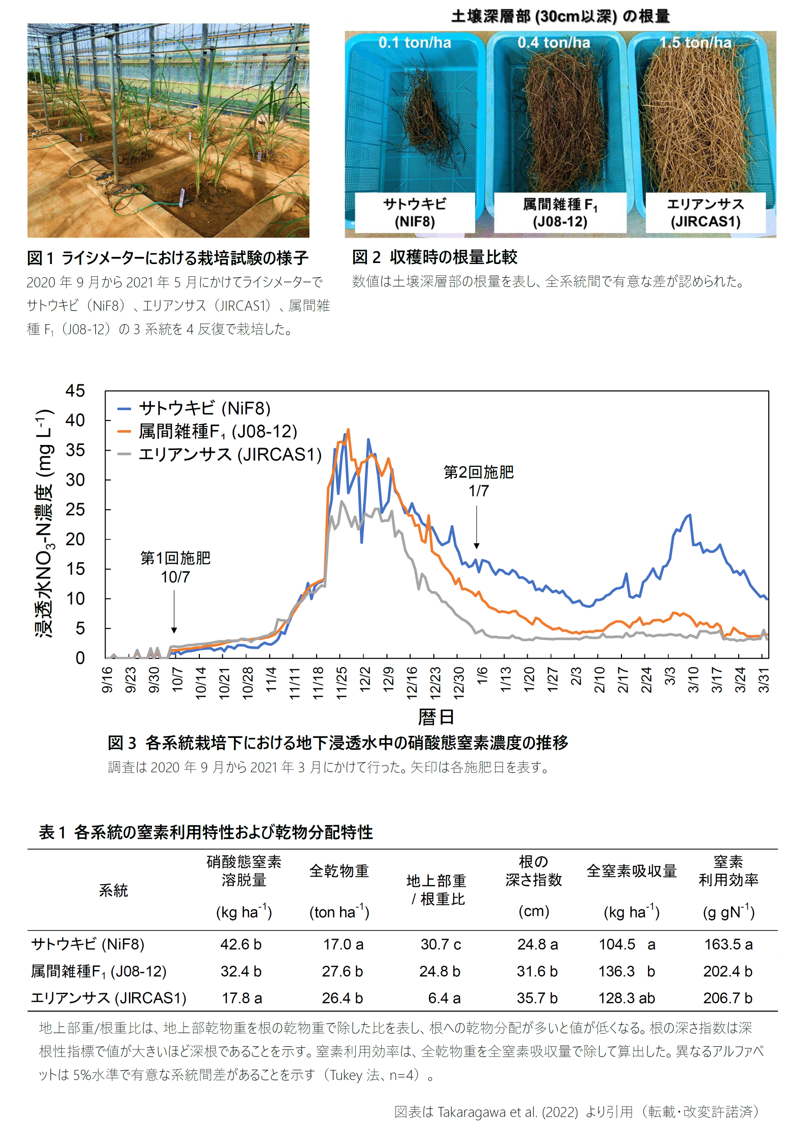農林測量 上 昭和39年 昭和39年度 中学校 第2学年 社会
