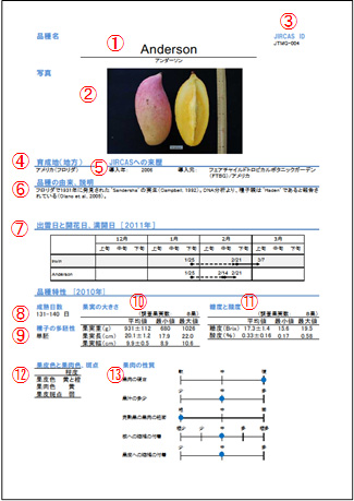 品種不明　確認画像　②